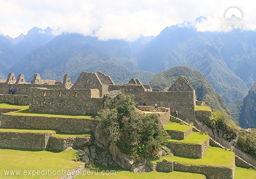 Tren al Santuario de Machu Picchu.